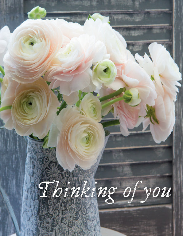 Thinking of You Card - Pink Ranunculas - The Christian Gift Company