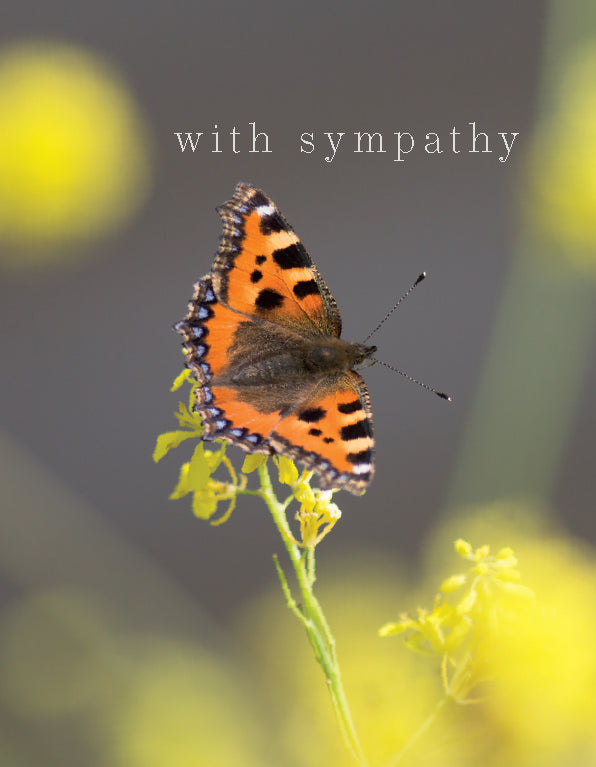 Sympathy Card - Tortoiseshell Butterfly - The Christian Gift Company