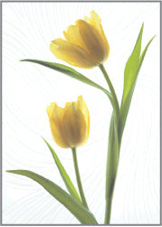 Blank Card - Yellow Tulips - The Christian Gift Company