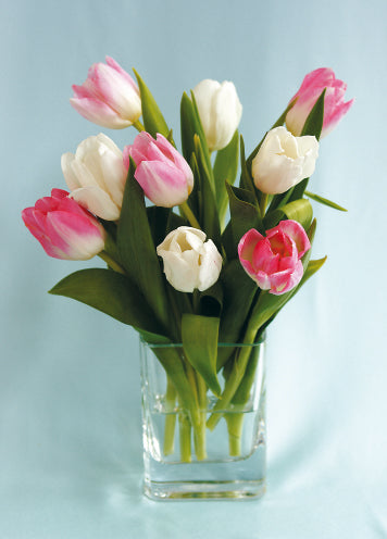 Blank Card - Tulips Arrangement - The Christian Gift Company