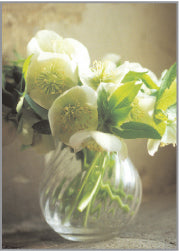 Blank Card - Hellebore In Glass Vase - The Christian Gift Company