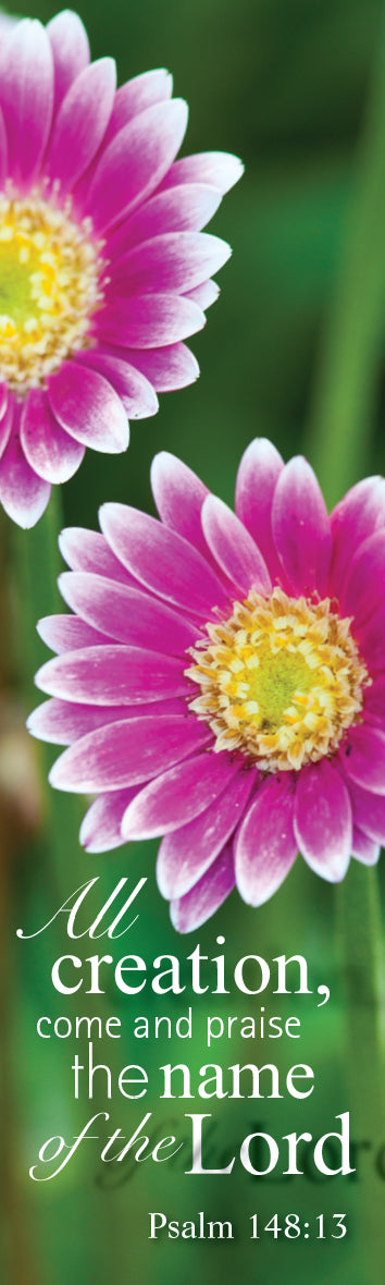 Card Bookmark - Close Up Pink Gerberas - The Christian Gift Company