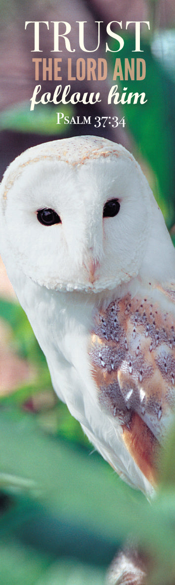 Card Bookmark - Barn Owl - The Christian Gift Company