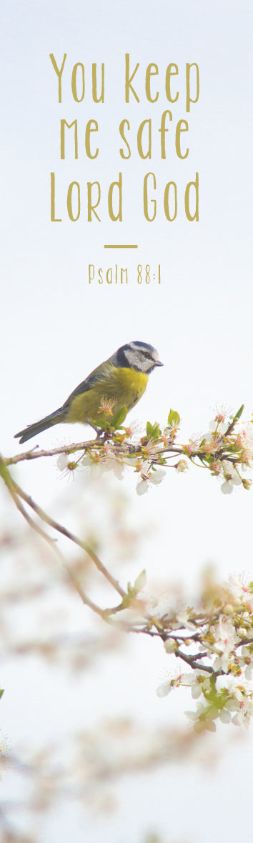 Card Bookmark - Blue Tit - The Christian Gift Company