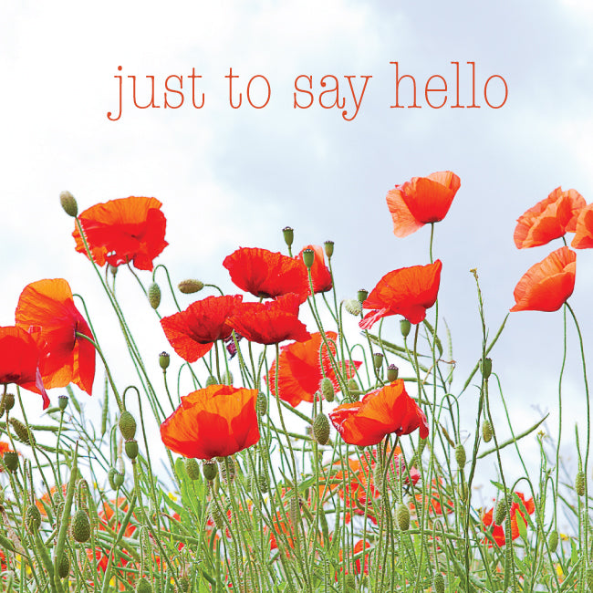 Photonotes Notecards - Red Poppies (pack of 5) - The Christian Gift Company