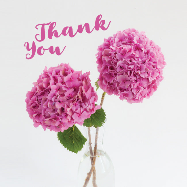Photonotes Notecards - Pink Hydrangea (pack of 5) - The Christian Gift Company