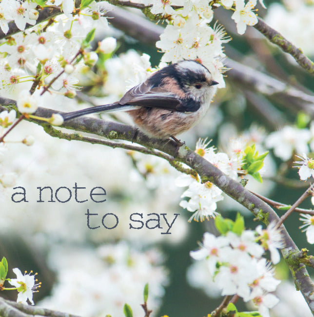 Photonotes Notecards - Long Tailed Tit (pack of 5) - The Christian Gift Company