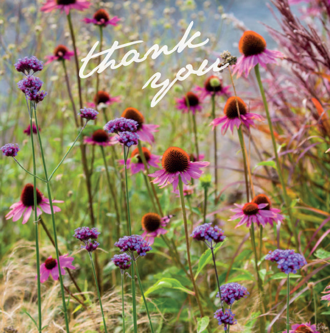 Photonotes Notecards - Echinacea/Verbena (pack of 5) - The Christian Gift Company