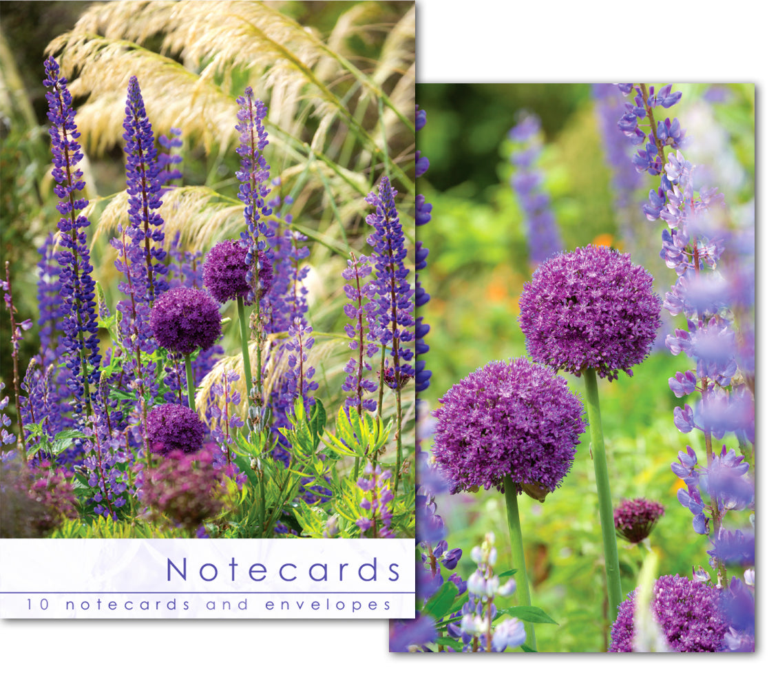 Notecard Wallet - Allium Heads (10 cards) - The Christian Gift Company