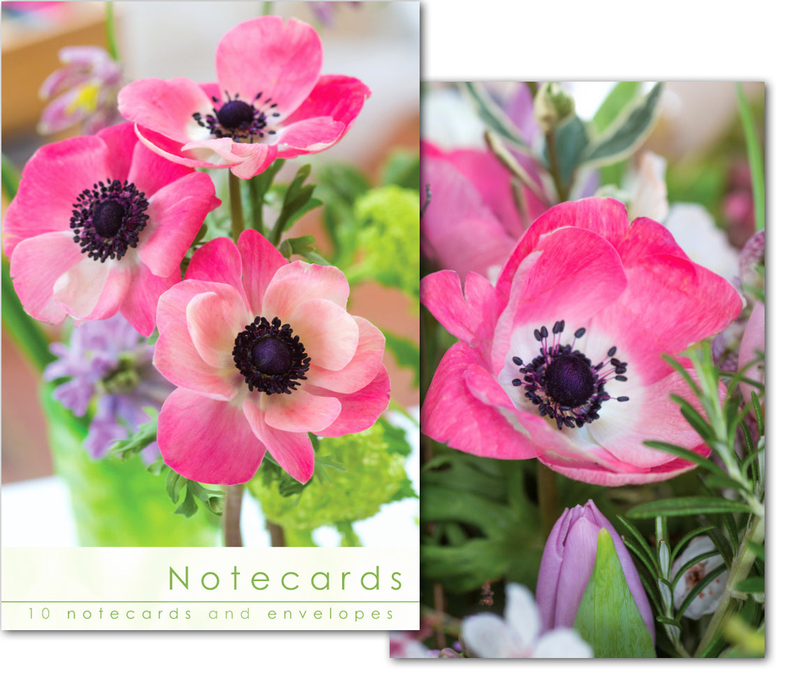 Notecard Wallet - Pink Anemone (10 cards) - The Christian Gift Company