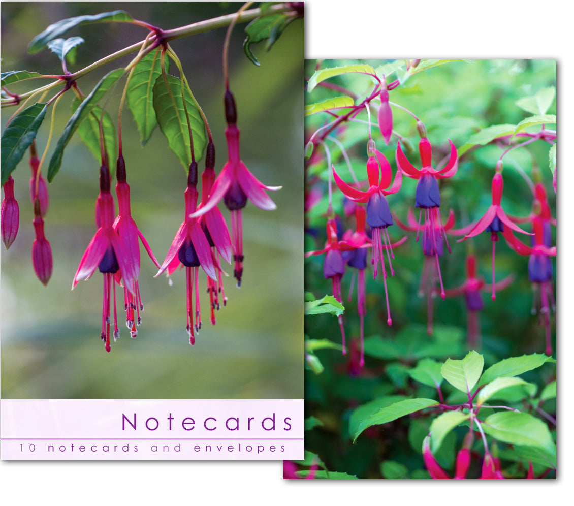 Notecard Wallet - Fuschia Close Ups (10 cards) - The Christian Gift Company