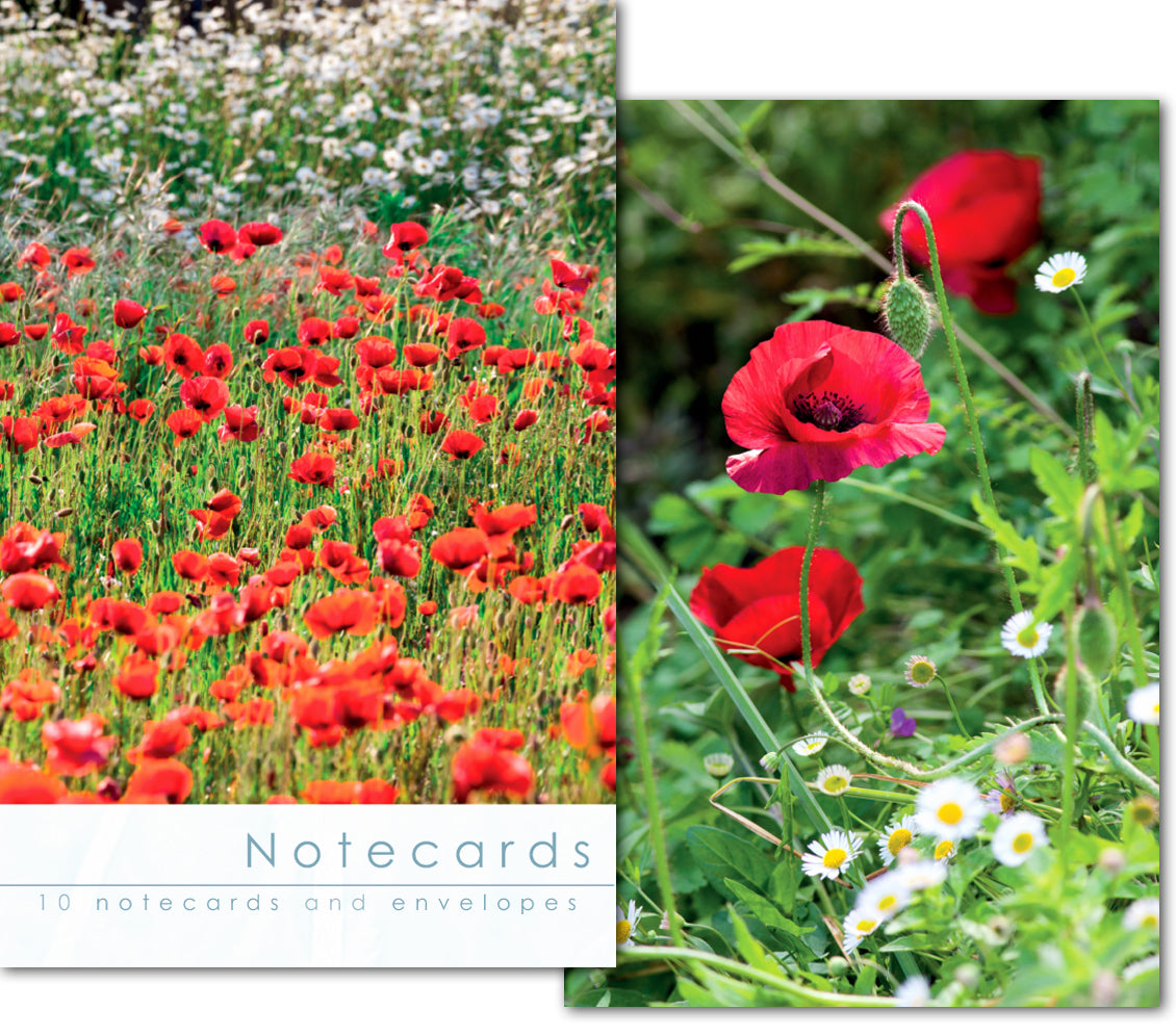 Notecard Wallet - Field Poppies (10 cards) - The Christian Gift Company