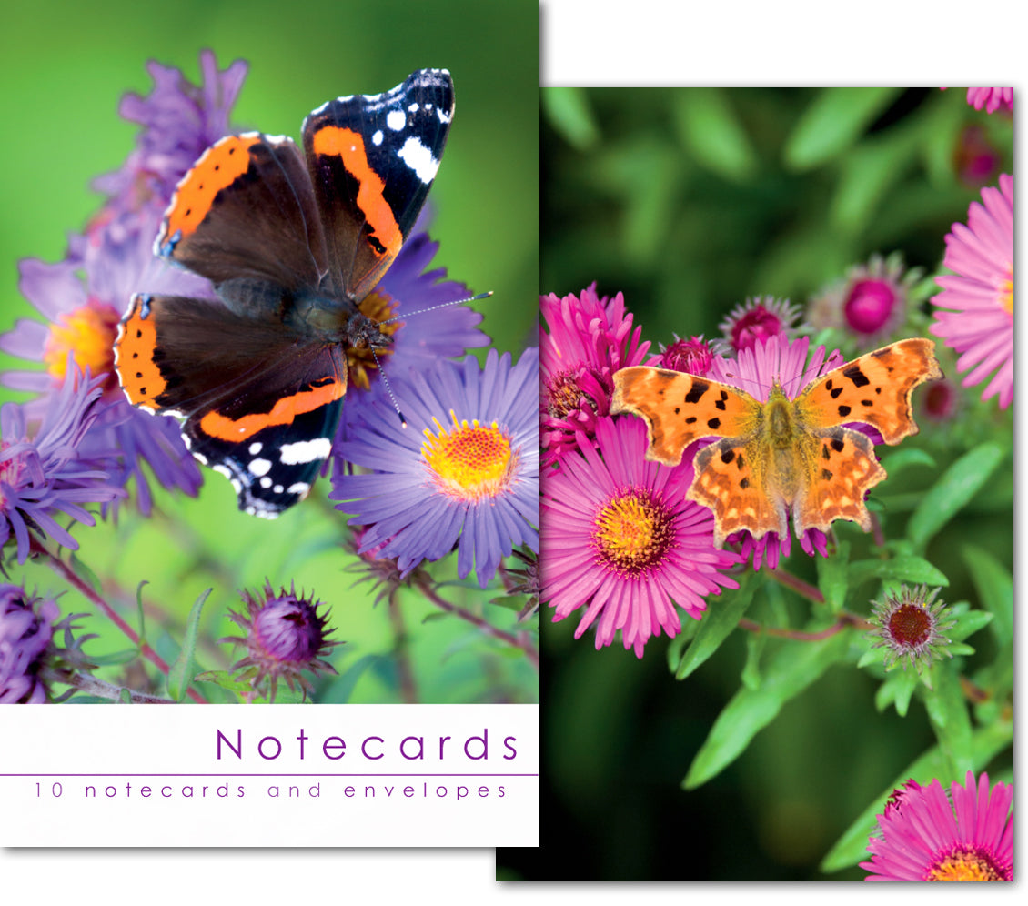 Notecard Wallet - Butterflies (10 cards) - The Christian Gift Company