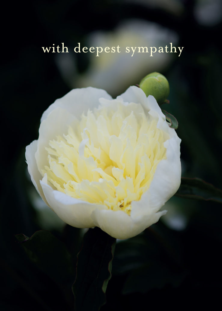 Sympathy Card - White Paeony - The Christian Gift Company