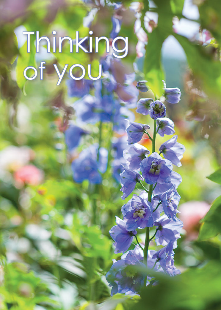 Thinking of You Card - Blue Delphinium - The Christian Gift Company