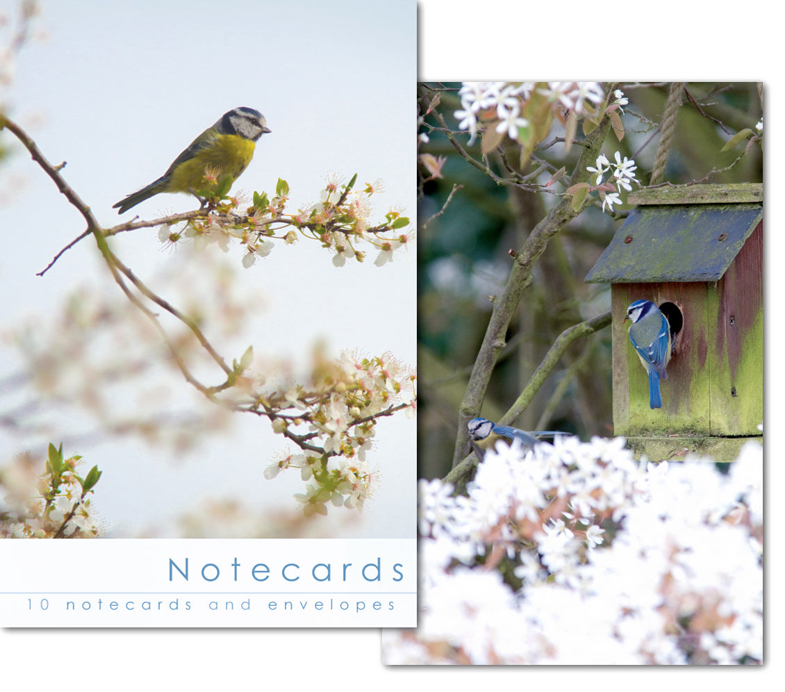 Notecard Wallet - Blue Tits (10 cards) - The Christian Gift Company