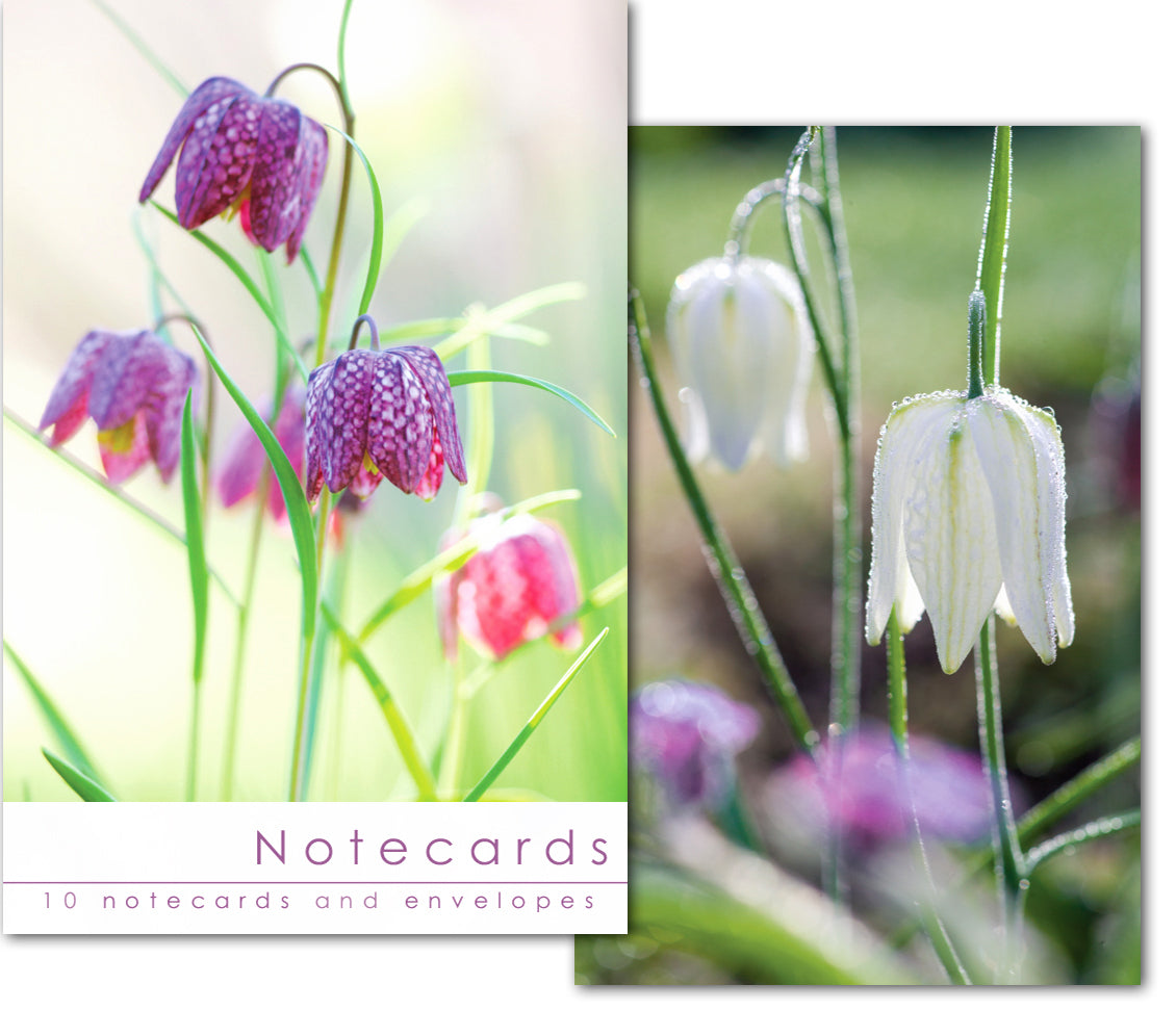 Notecard Wallet - Fritillaries (10 cards) - The Christian Gift Company