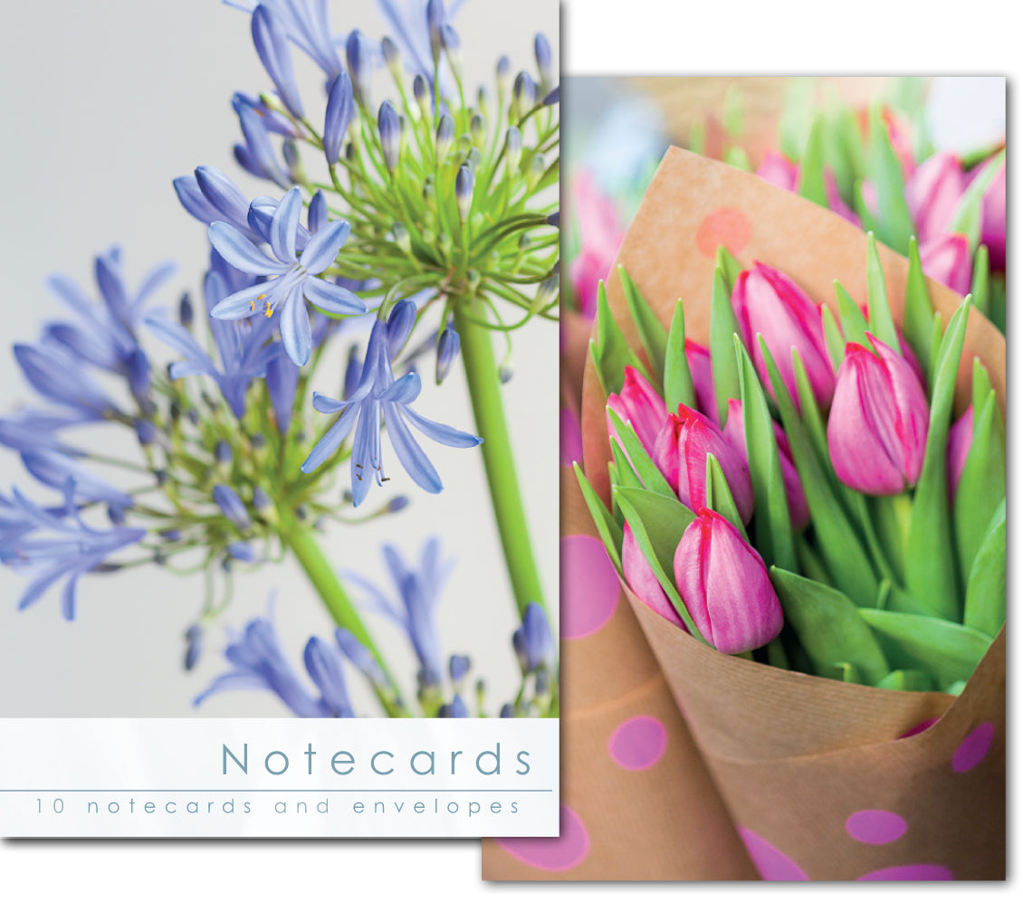 Notecard Wallet - Agapanthus/Tulips (10 cards) - The Christian Gift Company