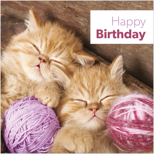 Birthday Card - Sleeping Kittens - The Christian Gift Company