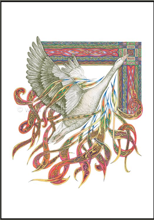 Lindisfarne Scriptorium A4 Print Wild Goose Unframed - The Christian Gift Company