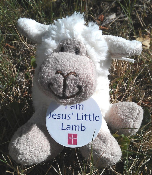 Jesus' Little Lamb Mini - The Christian Gift Company