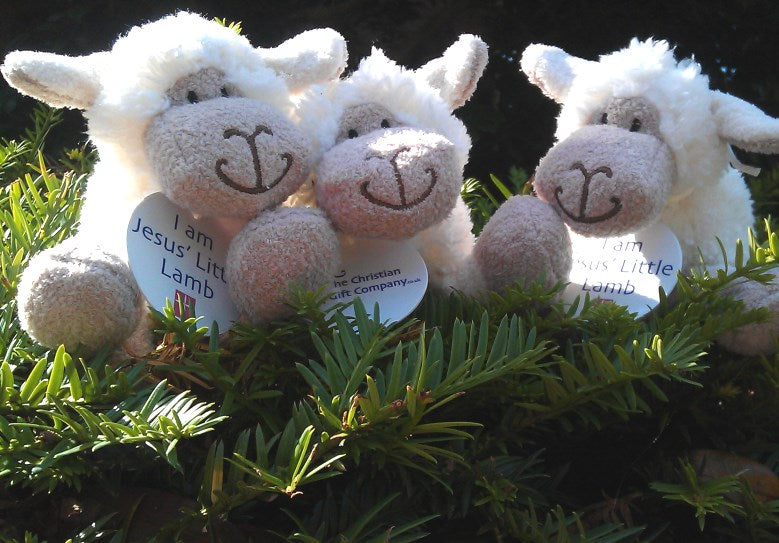 Jesus' Little Lamb Mini - The Christian Gift Company